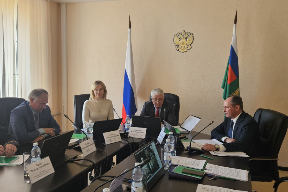 5359307432750348900.jpg